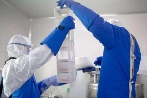 細胞凍存 細胞凍存