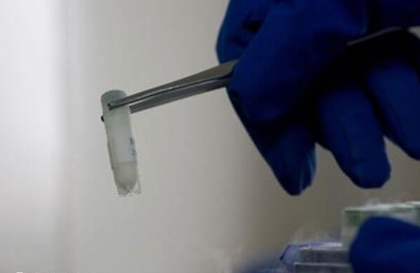 細胞解凍 細胞解凍