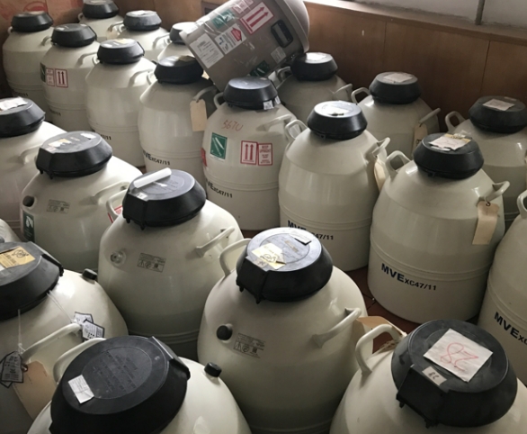 二手液氮罐 二手液氮罐