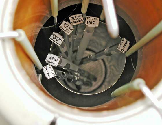 標識記錄 標識記錄