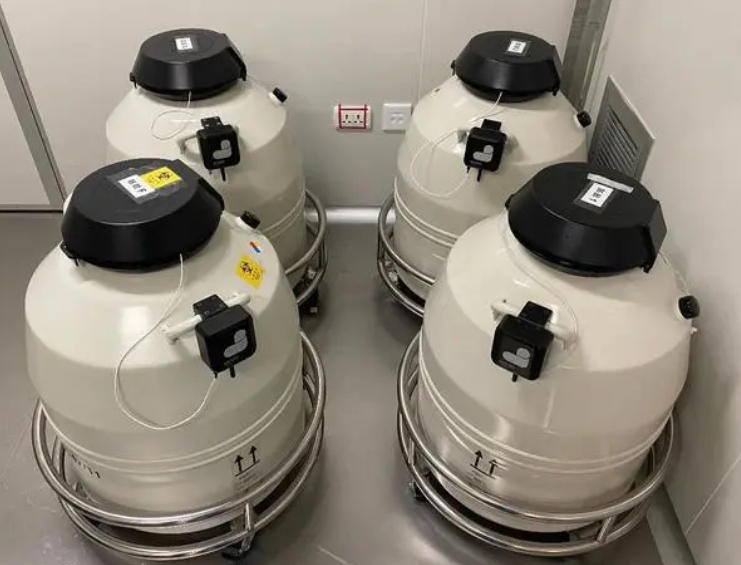 液氮容器 液氮容器