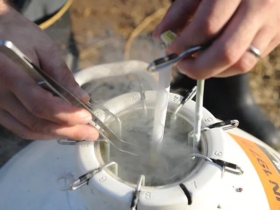 液氮罐管理使用 液氮罐管理使用