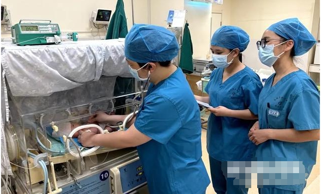 生育治療 生育治療