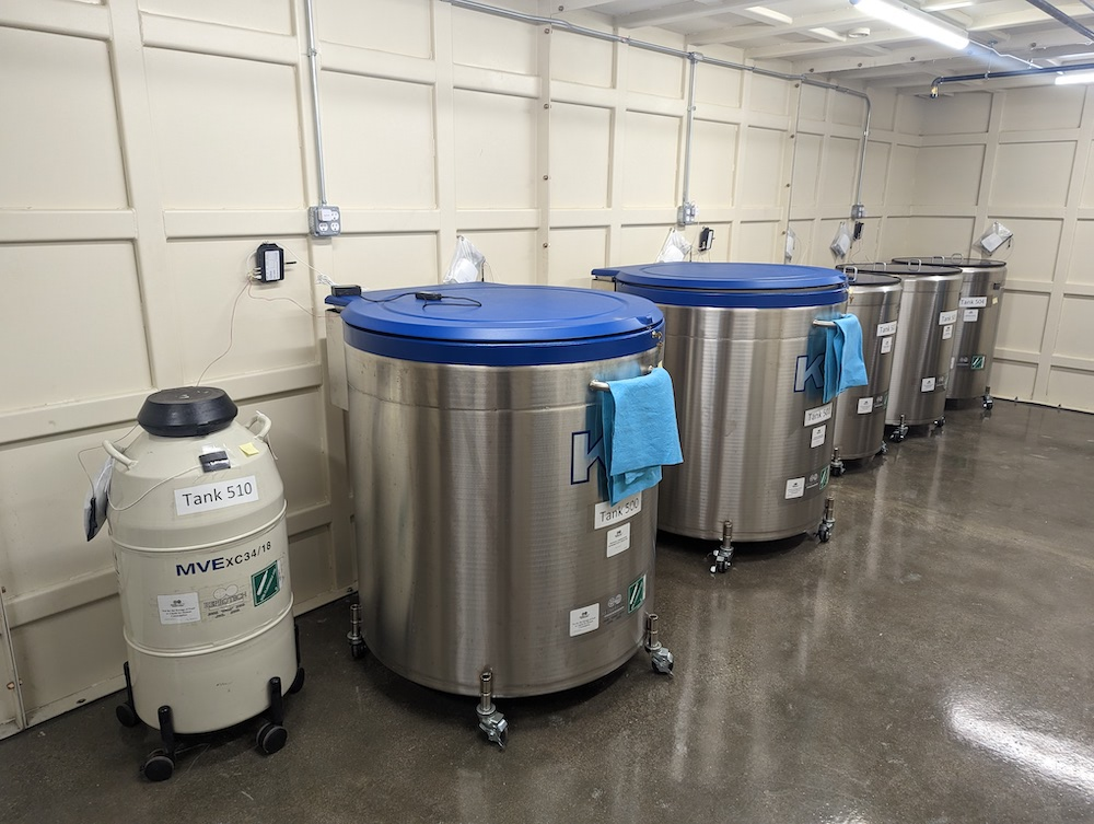 液氮罐儲存使用 液氮罐儲存使用