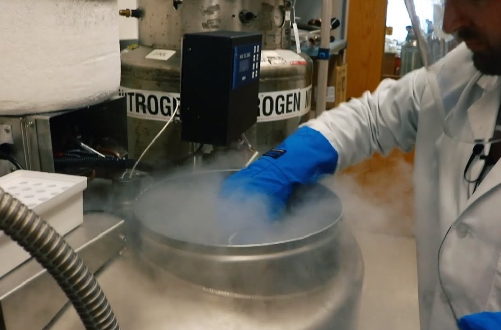 細(xì)胞凍存降溫存 細(xì)胞凍存降溫存