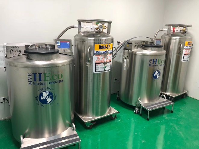 氣相儲存液氮罐 氣相儲存液氮罐