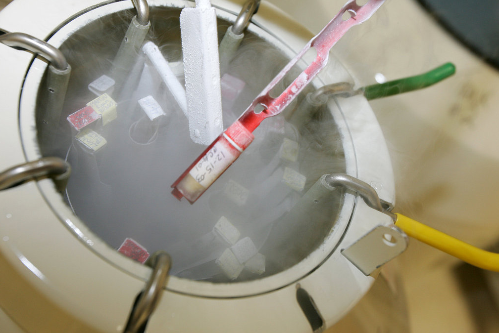 育種凍存 育種凍存